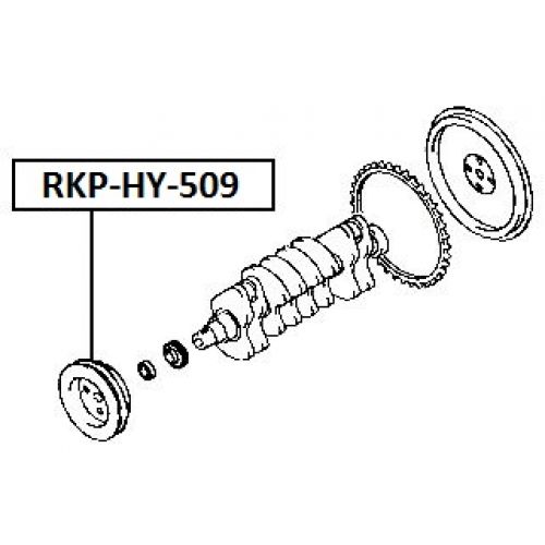 rkp-hy-509_9.jpg