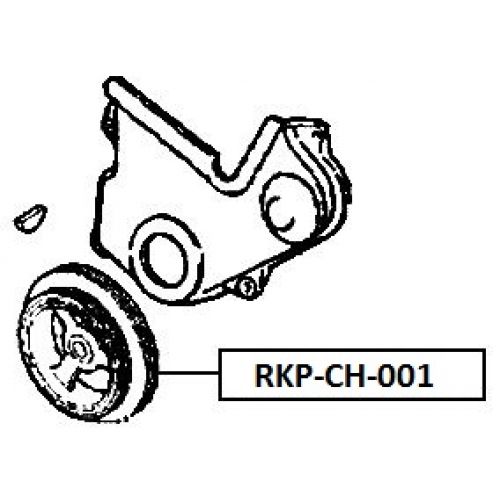 rkp-ch-001_9.jpg