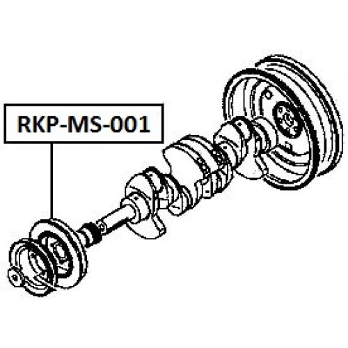 rkp-ms-001_9.jpg