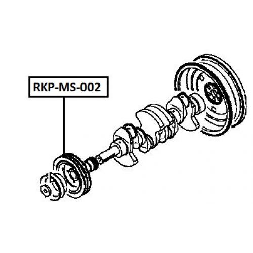 rkp-ms-002_9.jpg
