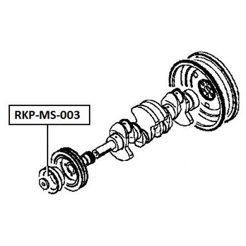 rkp-ms-003_9.jpg