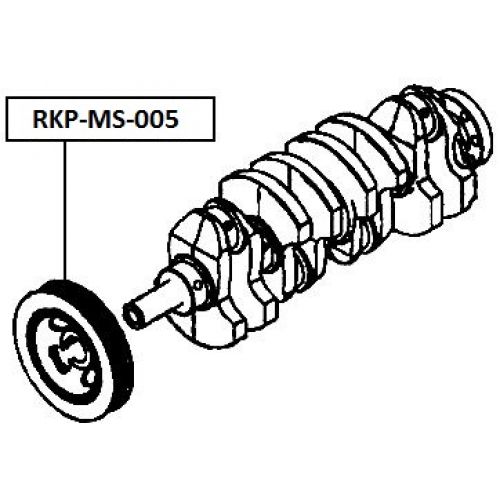 rkp-ms-005_9.jpg