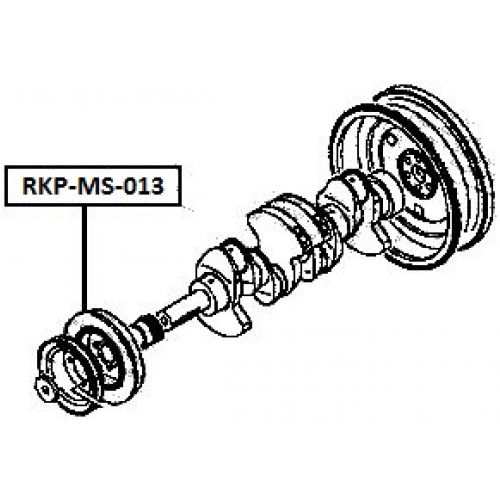 rkp-ms-013_9.jpg