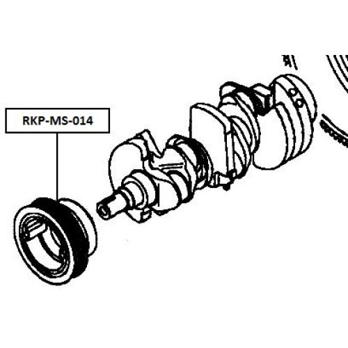 rkp-ms-014_9.jpg