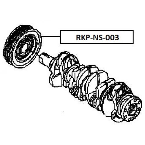 rkp-ns-003_9.jpg