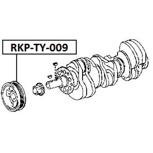 rkp-ty-009_9.jpg