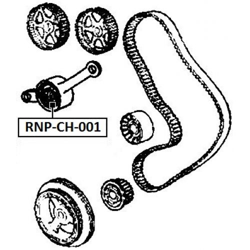 rnp-ch-001_9.jpg
