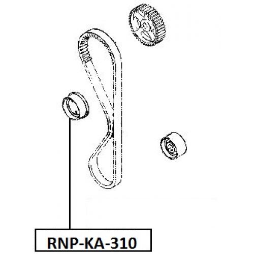 rnp-ka-310_9.jpg