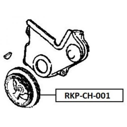 rkp-ch-001-1.jpg