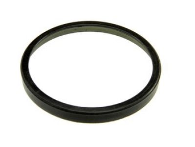 NTY ABS Prstenec kroužek RENAULT MEGANE II 02-09 /Zadní, Magnetický ASB kroužek/