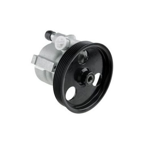 NTY Servo pumpa RENAULT 1.4 1.6 1.5DCI CLIO II 98- KANGOO 97-08 MEGANE I 95- SCENIC 99-03 491100699R 491105900R 491106043R 7700419117 7700420305 7700420305A 8200113599 8200711390 8200888500 8200888505