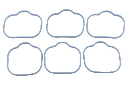 NTY Sada těsnění sací potrubí JEEP WRANGLER 3.6 2012- DODGE GRAND CARAVAN 3.6 2011- 7B0129717B 05184331AC 5184331AC K05148331AC